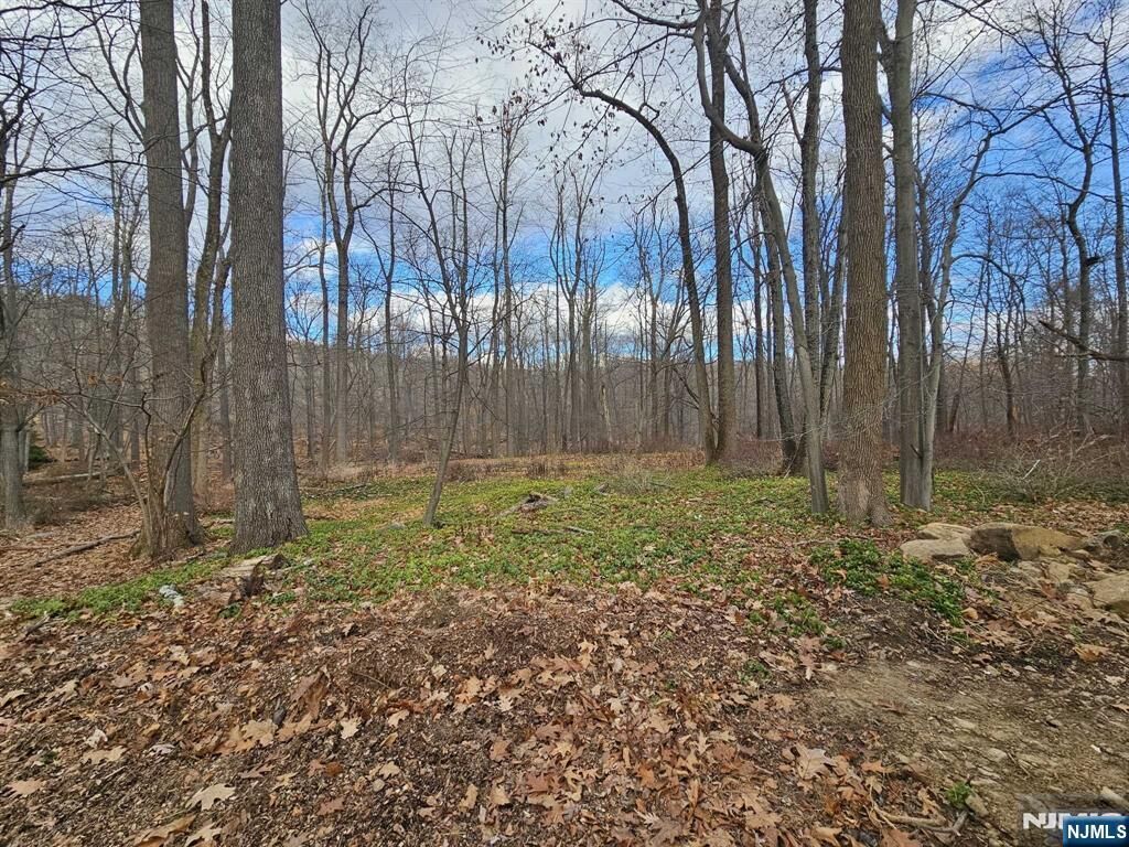 Property Photo: 34 Starlight Drive NJ 07960