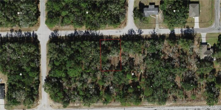 Property Photo:  2538 W Dellwood Street  FL 34434 
