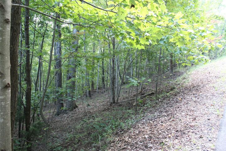 0 Azule Ridge Drive  Bostic NC 28018 photo