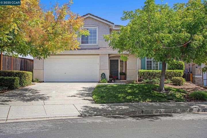 321 Liveoak Ct  Martinez CA 94553 photo
