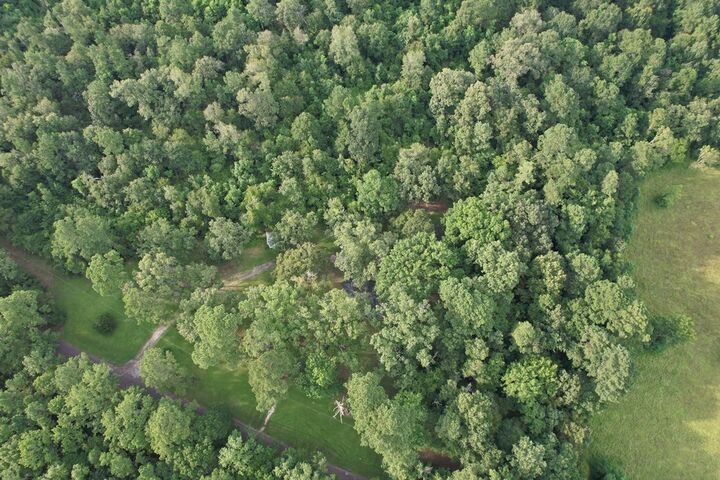 Property Photo:  1659 (Lot 2) Lowery Sawmill Road  TX 75949 
