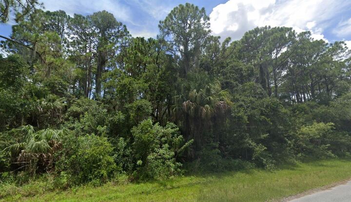 Property Photo: 13986 Dunlap Avenue FL 33953