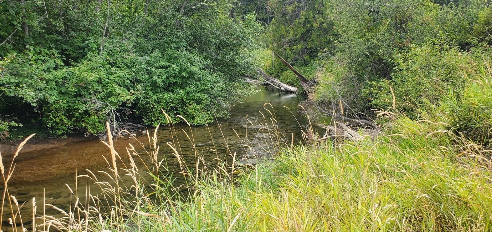Property Photo: 3159 Heather Lane WA 99114