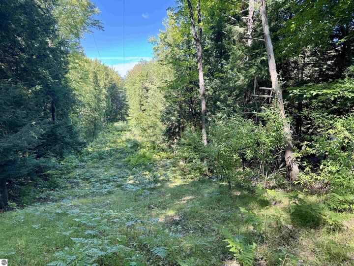 Property Photo: V/L 180th Avenue MI 49346