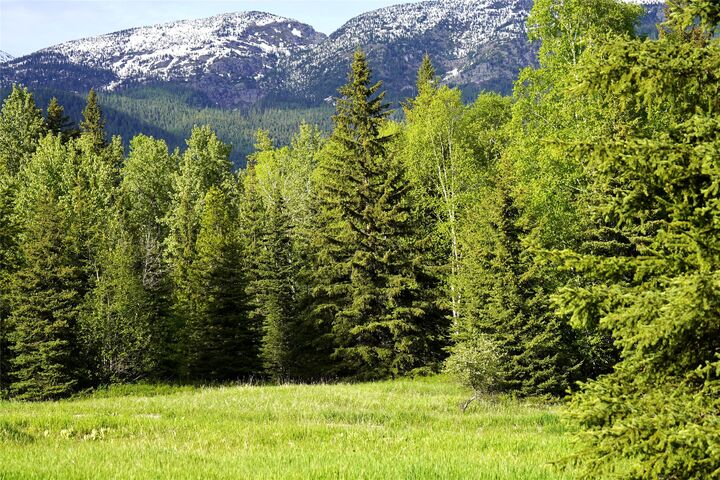 Property Photo:  Nhn Wolf Creek Ranch Road  MT 59911 