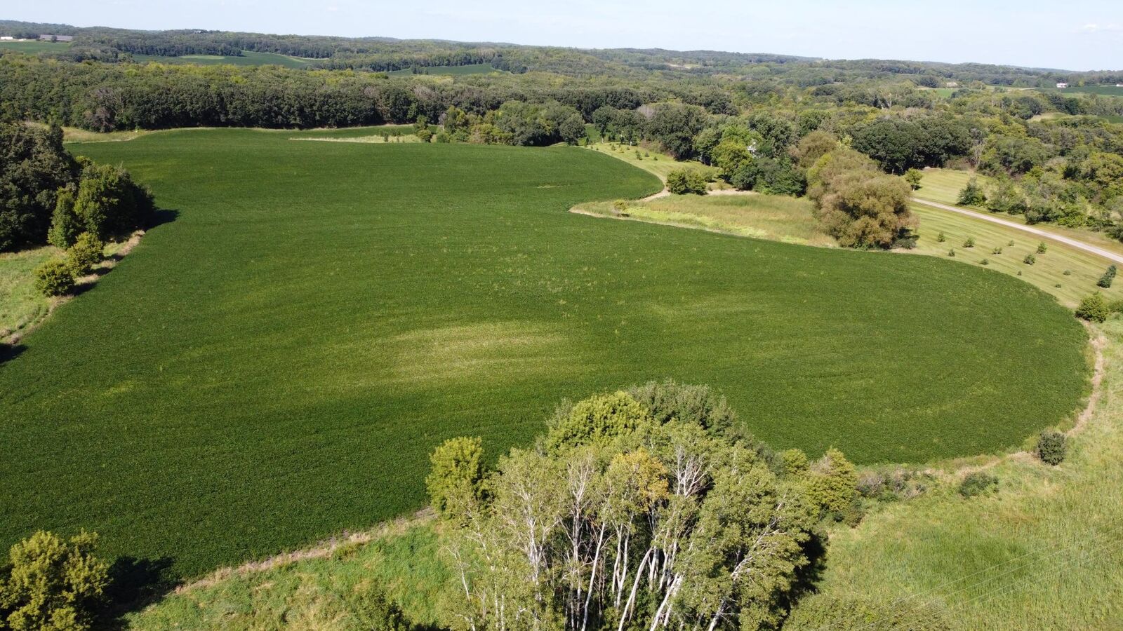 Property Photo: Xxxxx County Hwy 12 MN 56324