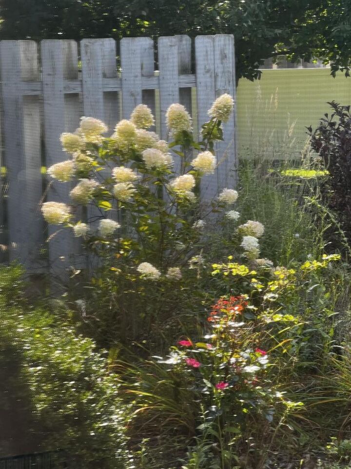 Property Photo:  4005 Mackinac Drive  WI 53546 