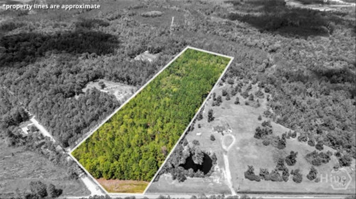 Property Photo: 15.5 Ac Elim Church Rd. Road GA 31316
