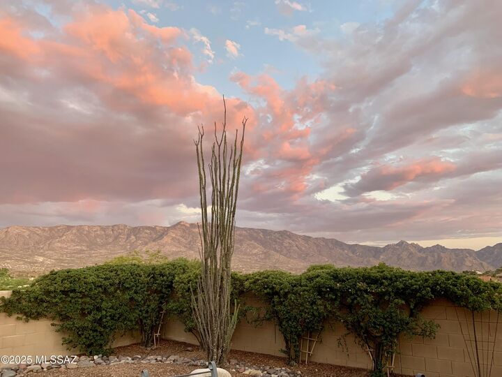 Property Photo: 63719 E Whispering Tree Lane AZ 85739