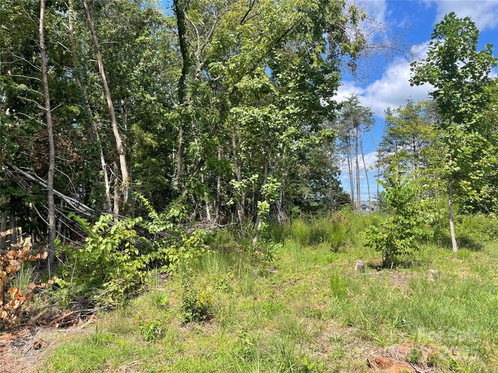 Property Photo:  00 Carriage Drive  NC 28139 