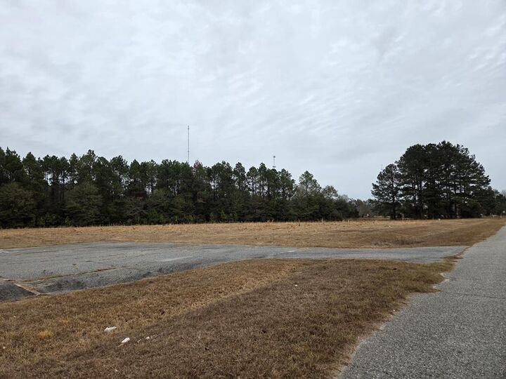 Property Photo:  118 Joe Wright Drive/New Harvest Road Lot C  GA 31015 