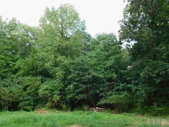 Property Photo:  0 14811 Kings Highway  VA 23937 