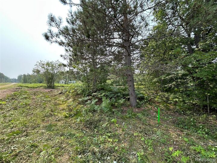 Property Photo: 6658 Brookfield Court MI 49730