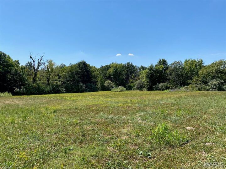 32 Cedar Cove  Winfield MO 63389 photo