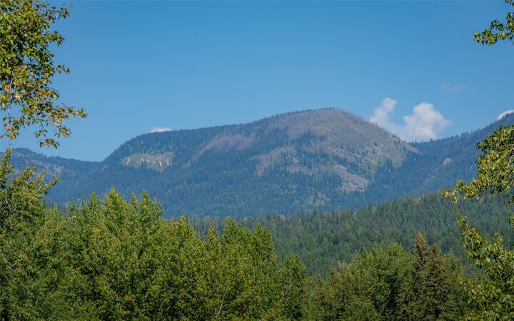 Property Photo:  1000 Colorado Avenue  MT 59937 