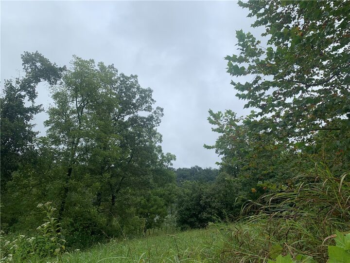 Property Photo: 10635 Prairie Creek North Road AR 72756