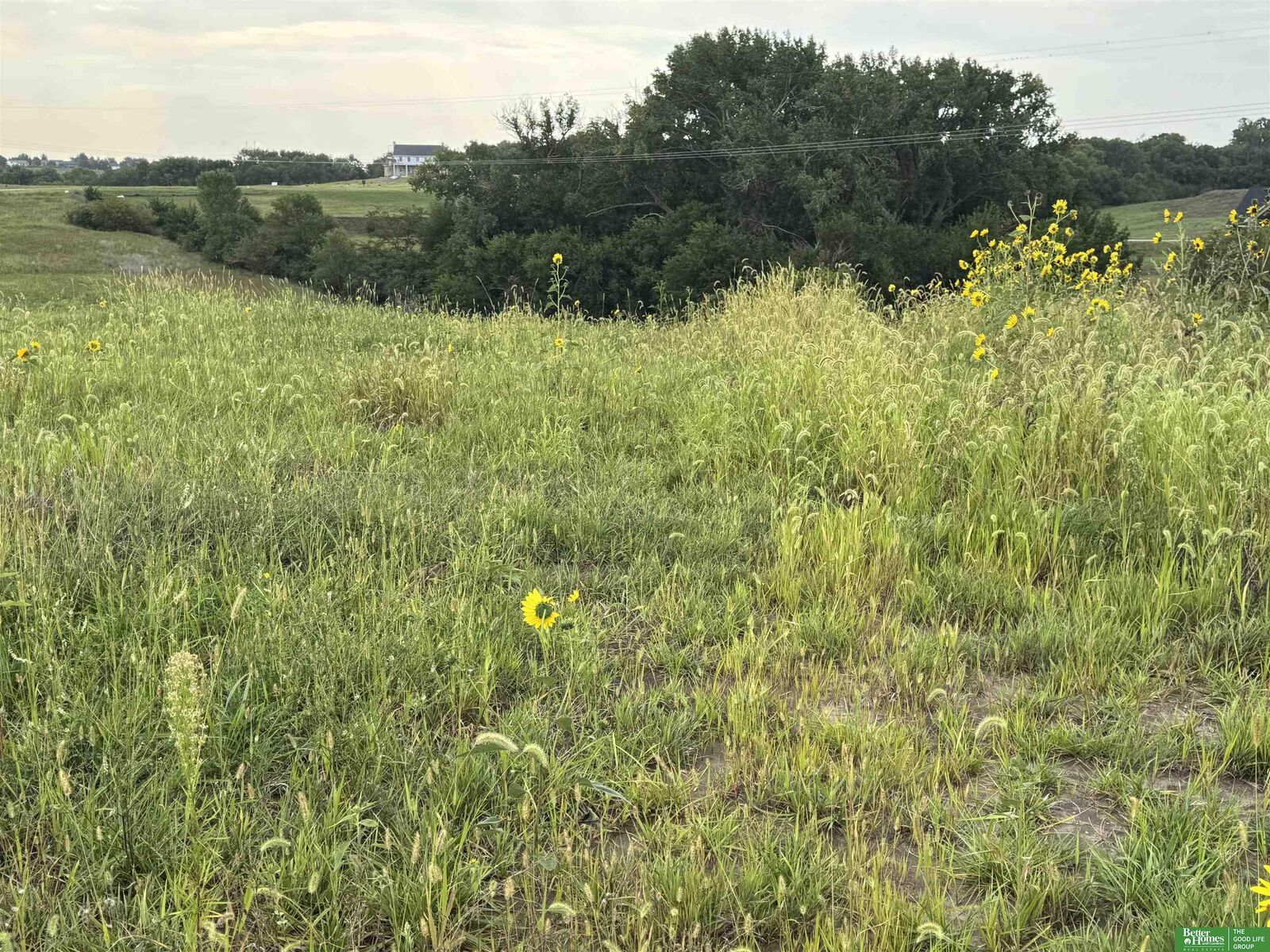 Property Photo:  22653 Quarry Circle  NE 68028 