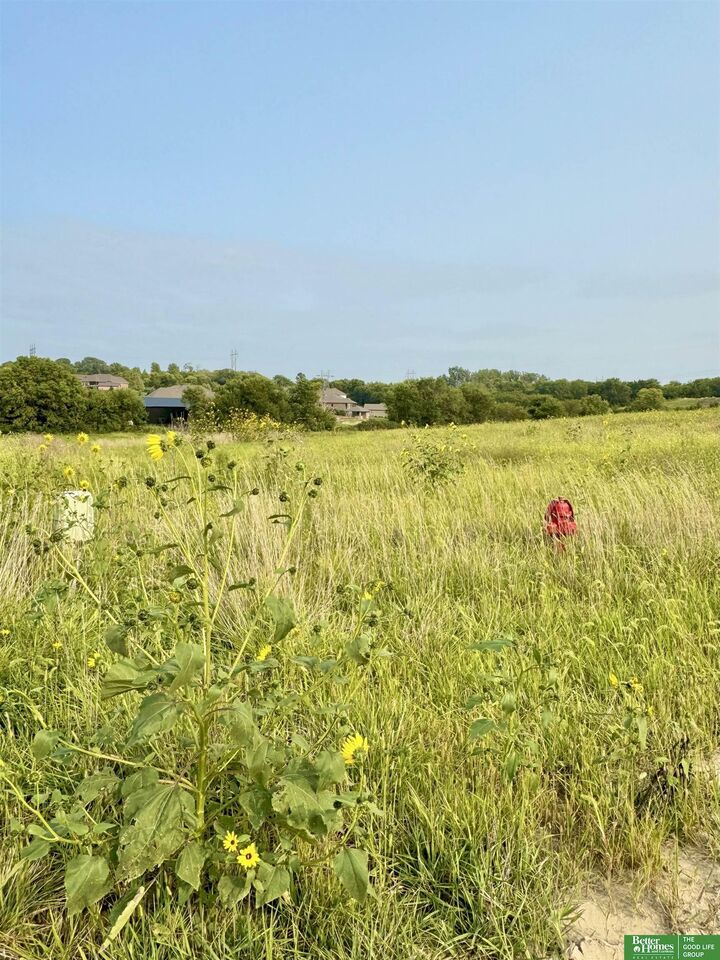 Property Photo:  Tbd Lot 57 Street  NE 68028 