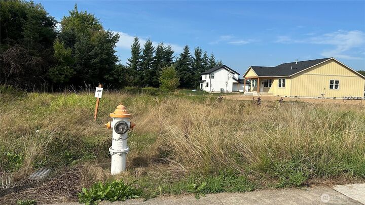 215  Allison Road  Nooksack WA 98276 photo