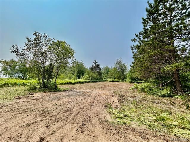 6658 Brookfield Court  Mancelona Twp MI 49730 photo