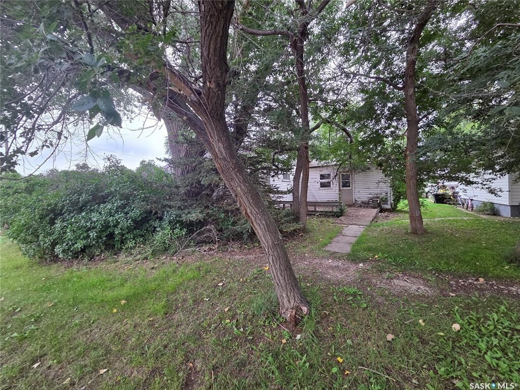 Property Photo:  227 Main Street  SK S0N 1C0 