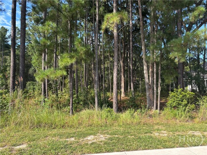 183 Wood Haven Lane  Pooler GA 31322 photo