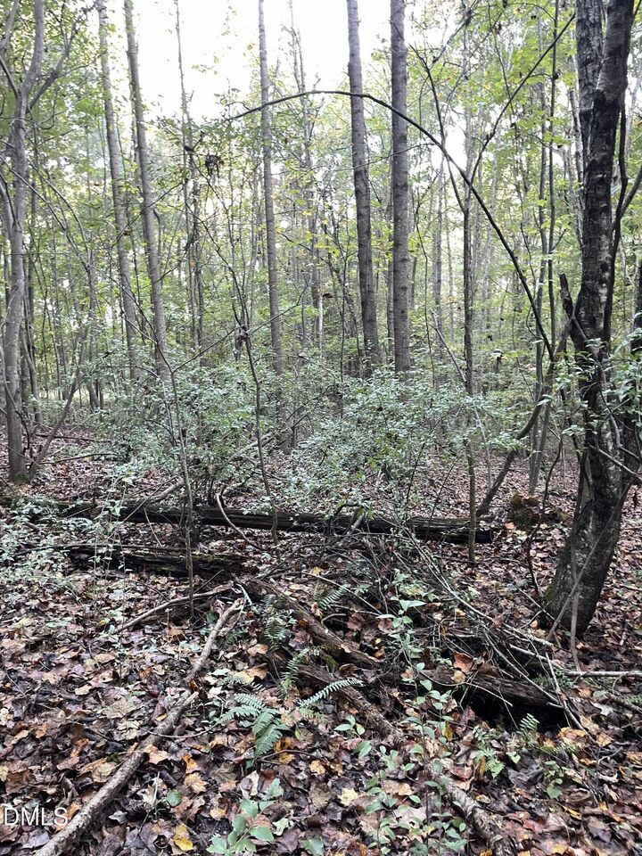 Property Photo:  2865 Silk Hope Gum Springs Road  NC 27312 