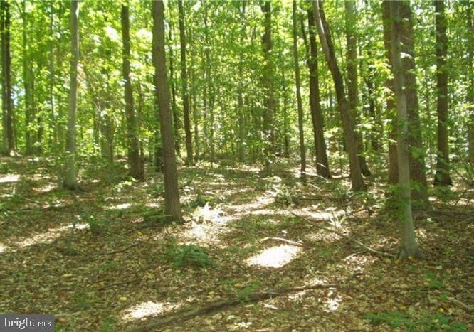 1500, 1501, 1504 Cogar Road  Bowie MD 20716 photo