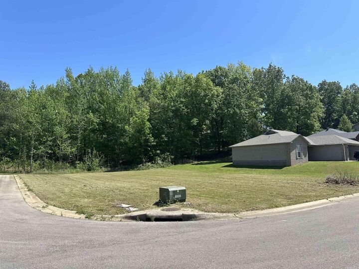 1128 Sandino Drive  Jonesboro AR 72401 photo
