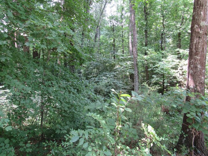 Property Photo: 0 Rollins Ketchum Road GA 30721
