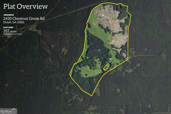 2450 Chestnut Grove Road 2  Shiloh GA 31826 photo