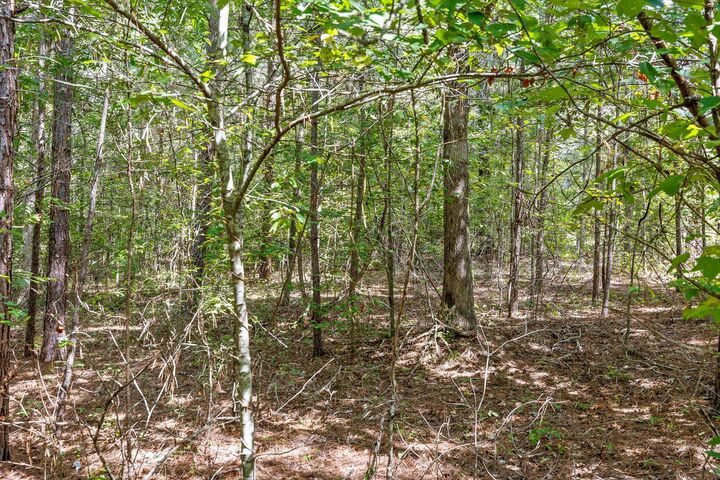 Property Photo:  830 County Road 814  AL 35966 