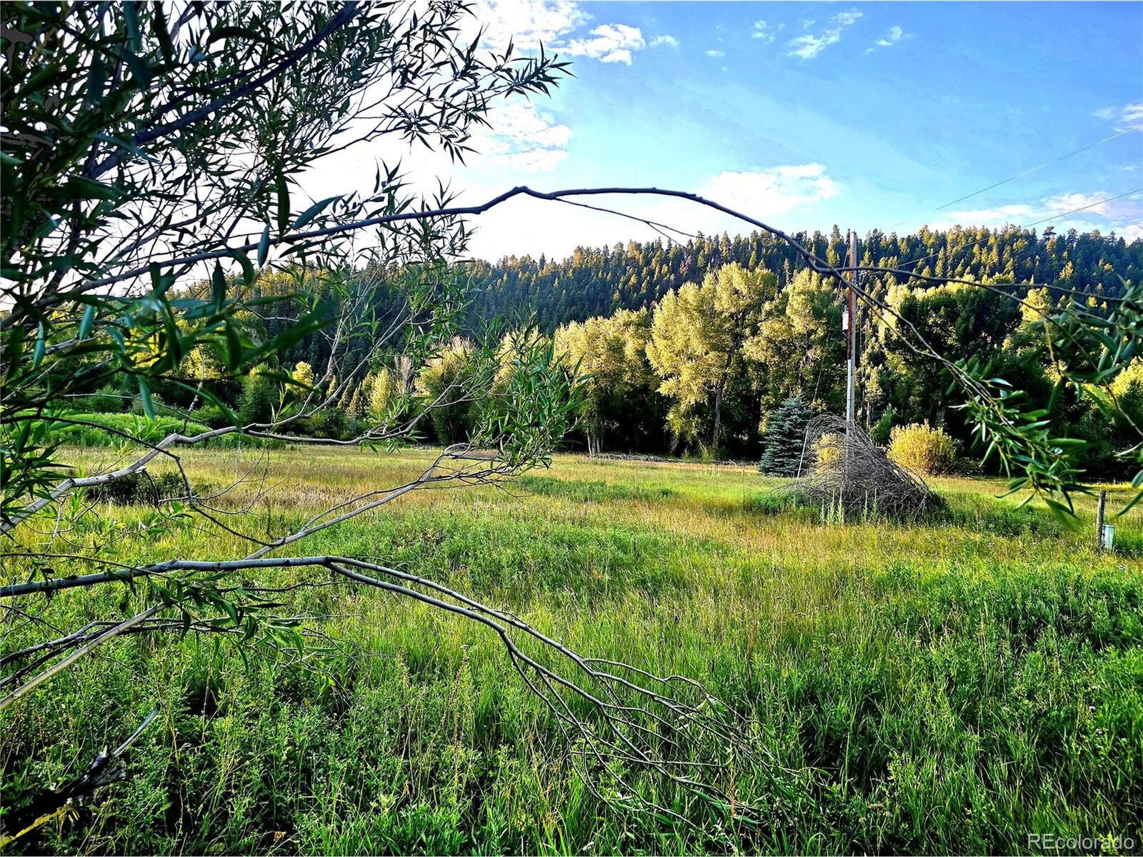 Property Photo: 9 Tixier Ramirez Cir CO 81120