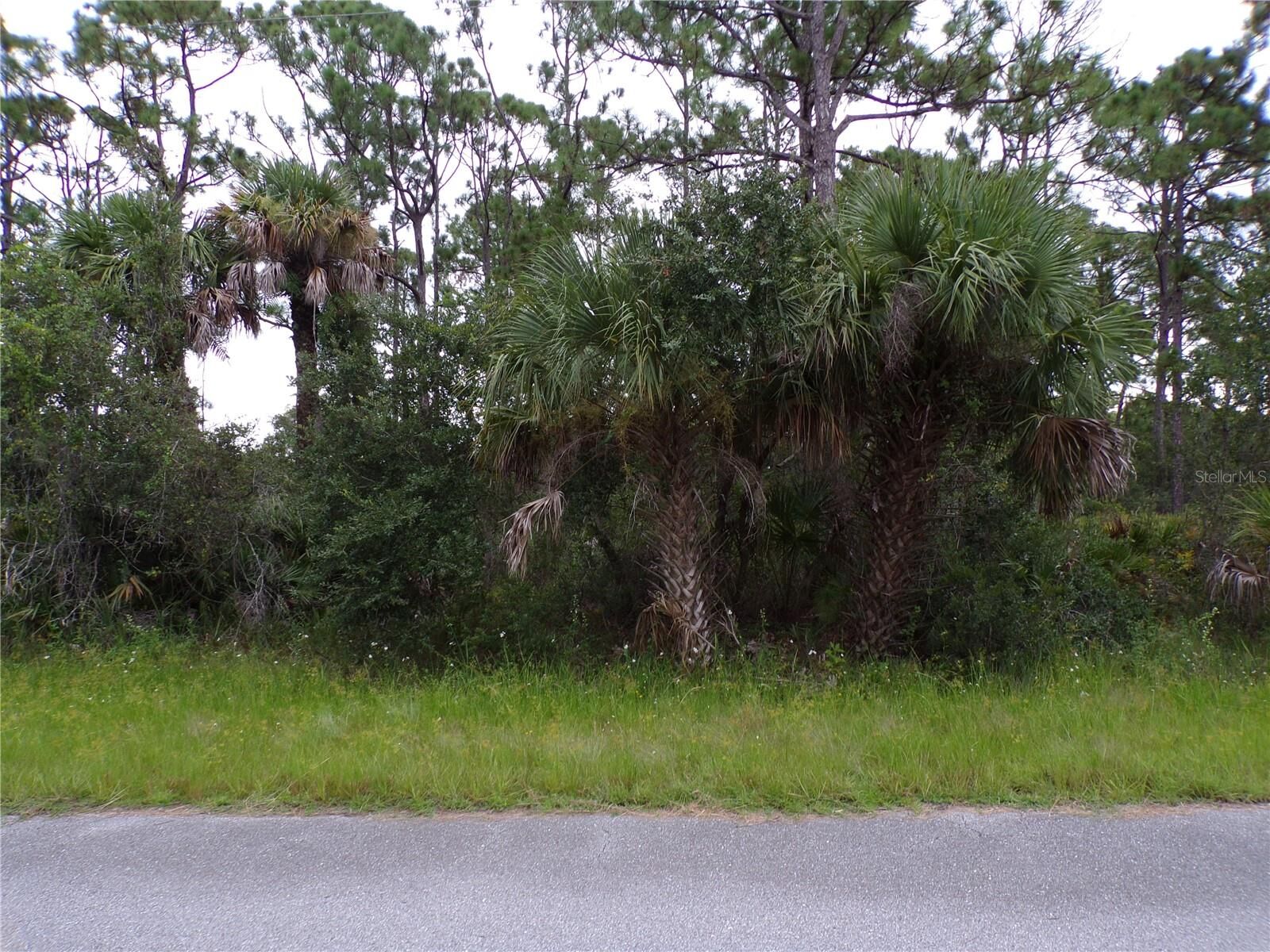 Property Photo: 14012 Carrie Avenue FL 33953