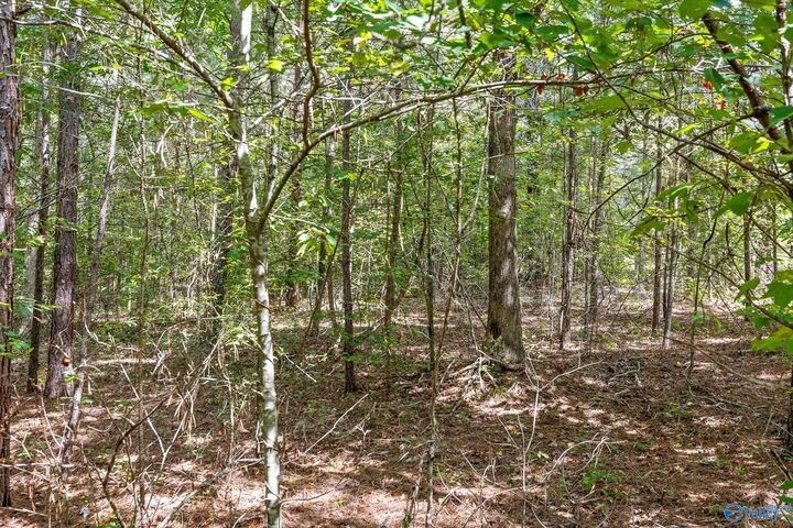 Property Photo: 830 County Road 814 AL 35966
