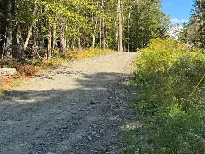 Property Photo:  Lot 4 Milo's Place  VT 05682 
