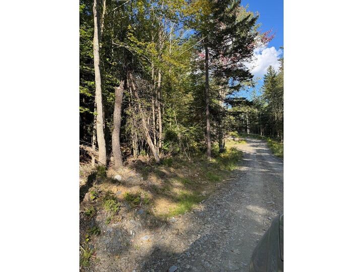 Property Photo: Lot 5 Milo'S Place VT 05682
