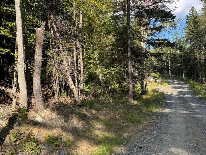Property Photo:  Lot 5 Milo's Place  VT 05682 