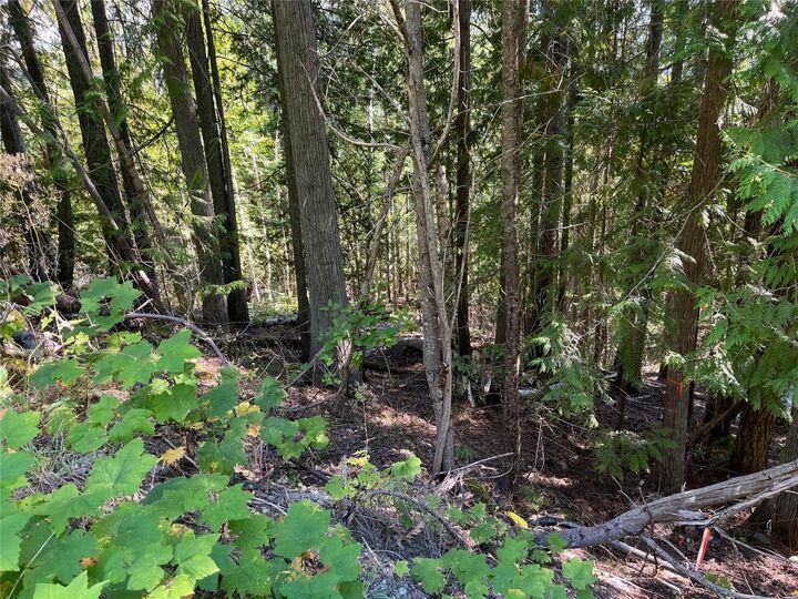 Property Photo: Lot 43 Vickers Trail BC V0E 1M8