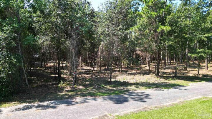 Property Photo:  000 Falling Brook Ct  FL 32571 