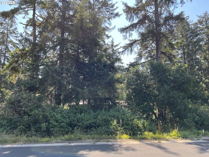 Property Photo: 000 Puffin Ln OR 97130