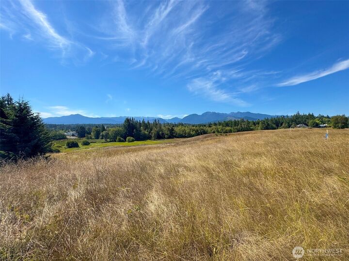 9999  Olympic Meadows, Parcel 11  Port Angeles WA 98362 photo