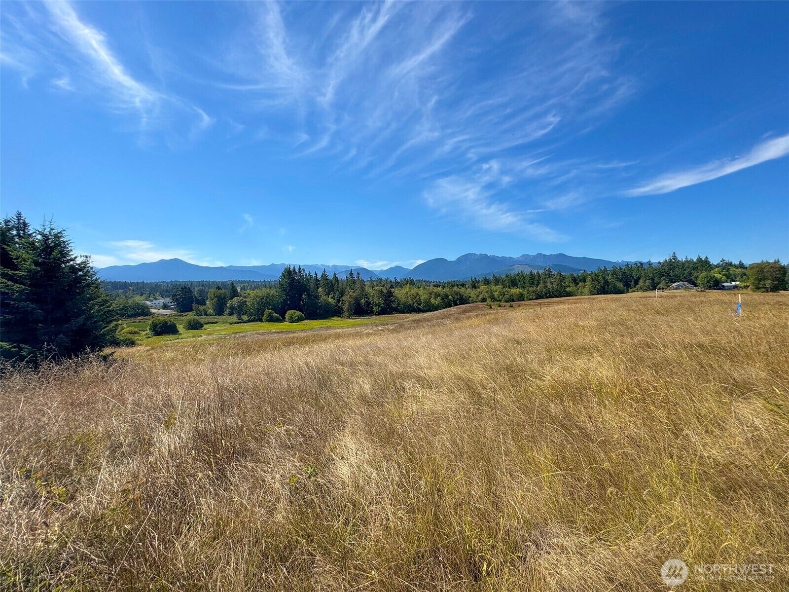 Property Photo:  9999  Olympic Meadows, Parcel 11  WA 98362 