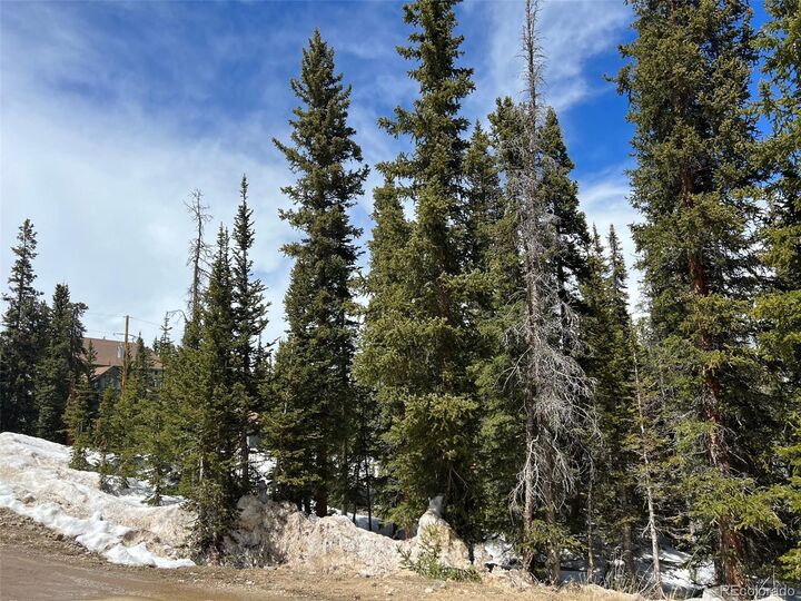 Property Photo:  134 El Lobo Lane  CO 80440 