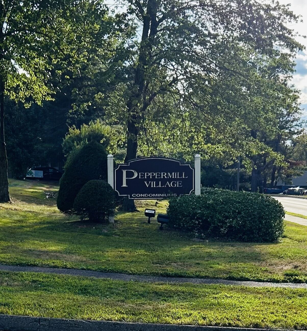 Property Photo:  254 Burgundy Hill Lane 254  CT 06457 