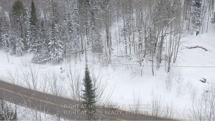 Property Photo:  22382 Highway 35 Highway  ON P0A 1E0 