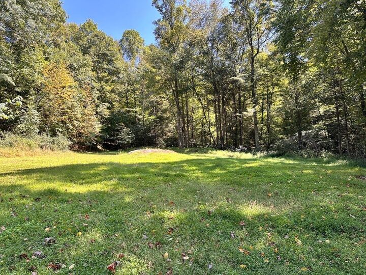 Property Photo:  2133 Wilderness Hwy  WV 26679 