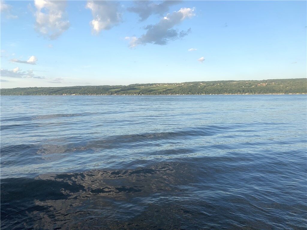 Property Photo:  Hunt Road  NY 14878 