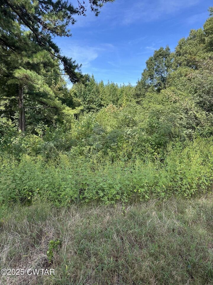 Property Photo:  00 Post Road  TN 38069 
