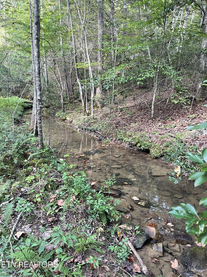 Property Photo:  Off Buckridge Rd. - 30.5 Acres  TN 38572 